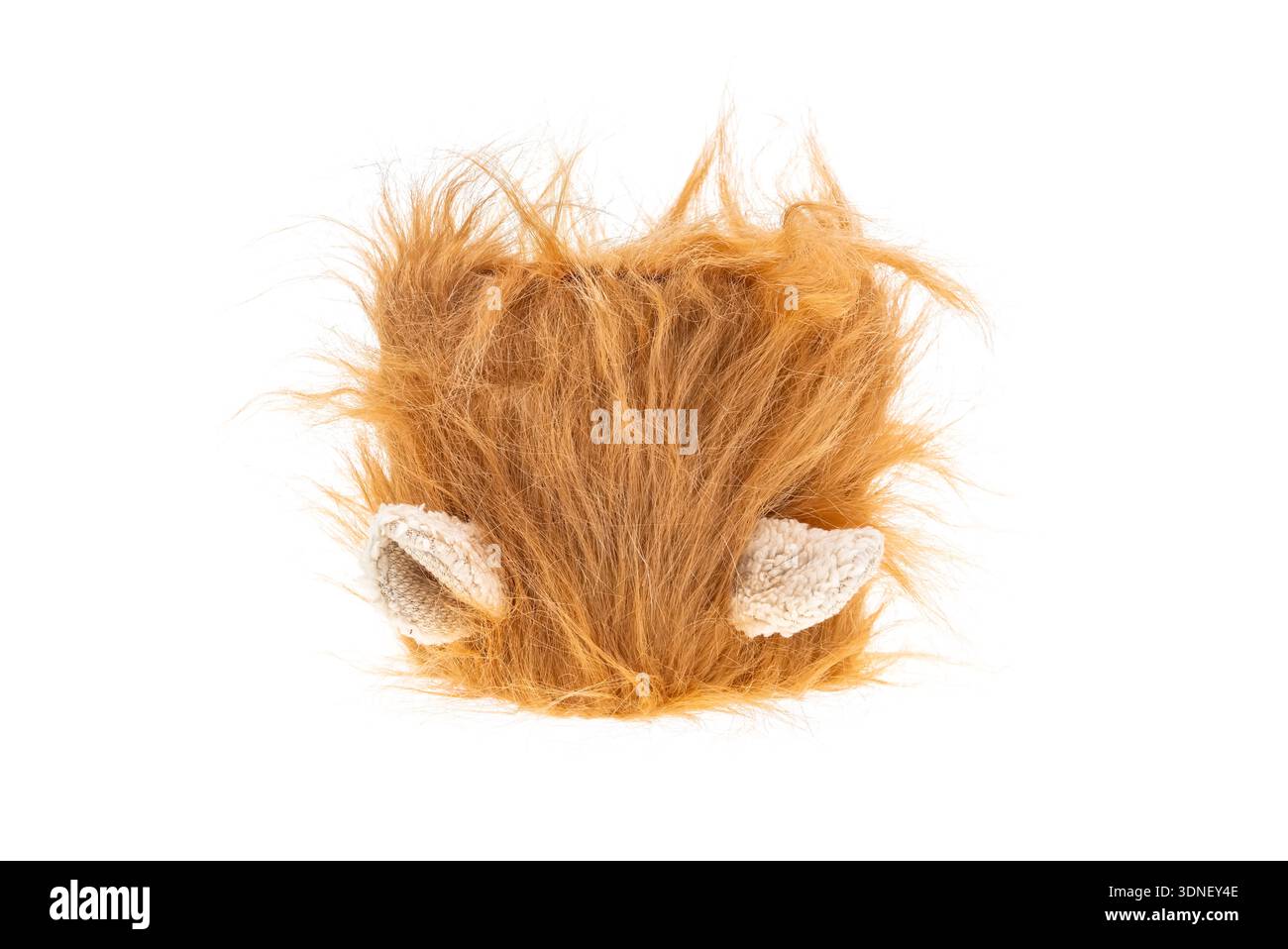 dog clothes on white background Stock Photo