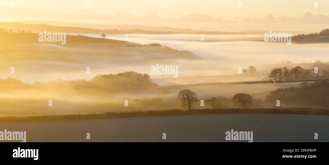 Early morning sunshine over mist shrouded rolling countryside, Dunsford, Devon, England.  Winter (December) 2025. Stock Photo
