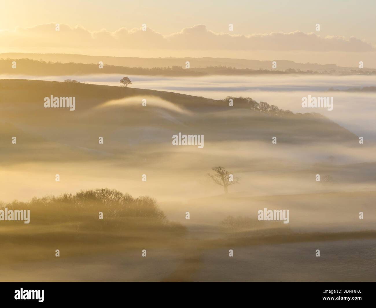 Mist shrouded countryside at dawn, Dunsford, Devon, England.  Winter (December) 2025. Stock Photo