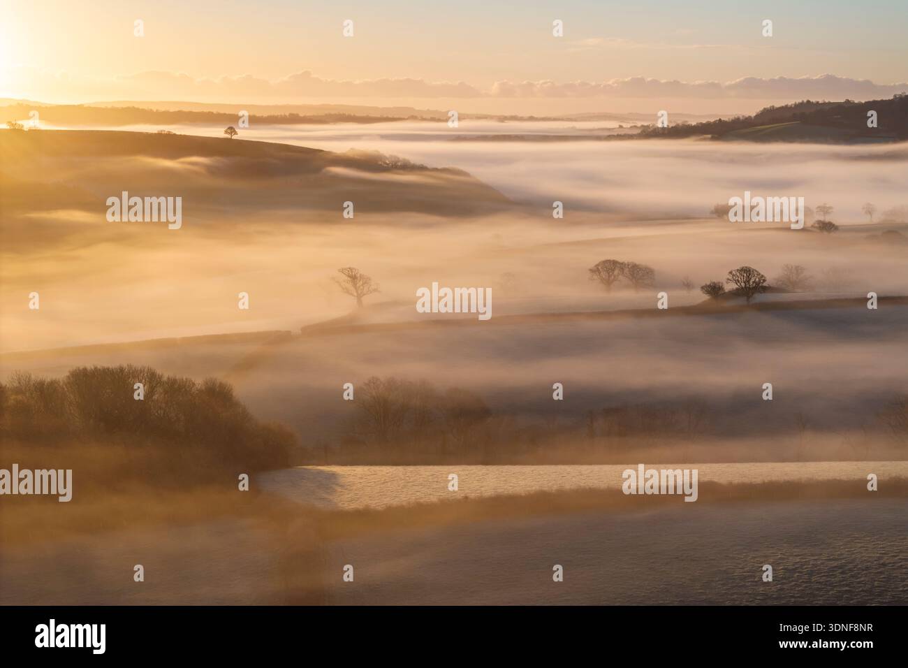 Early morning sunshine over mist shrouded rolling countryside, Dunsford, Devon, England.  Winter (December) 2025. Stock Photo