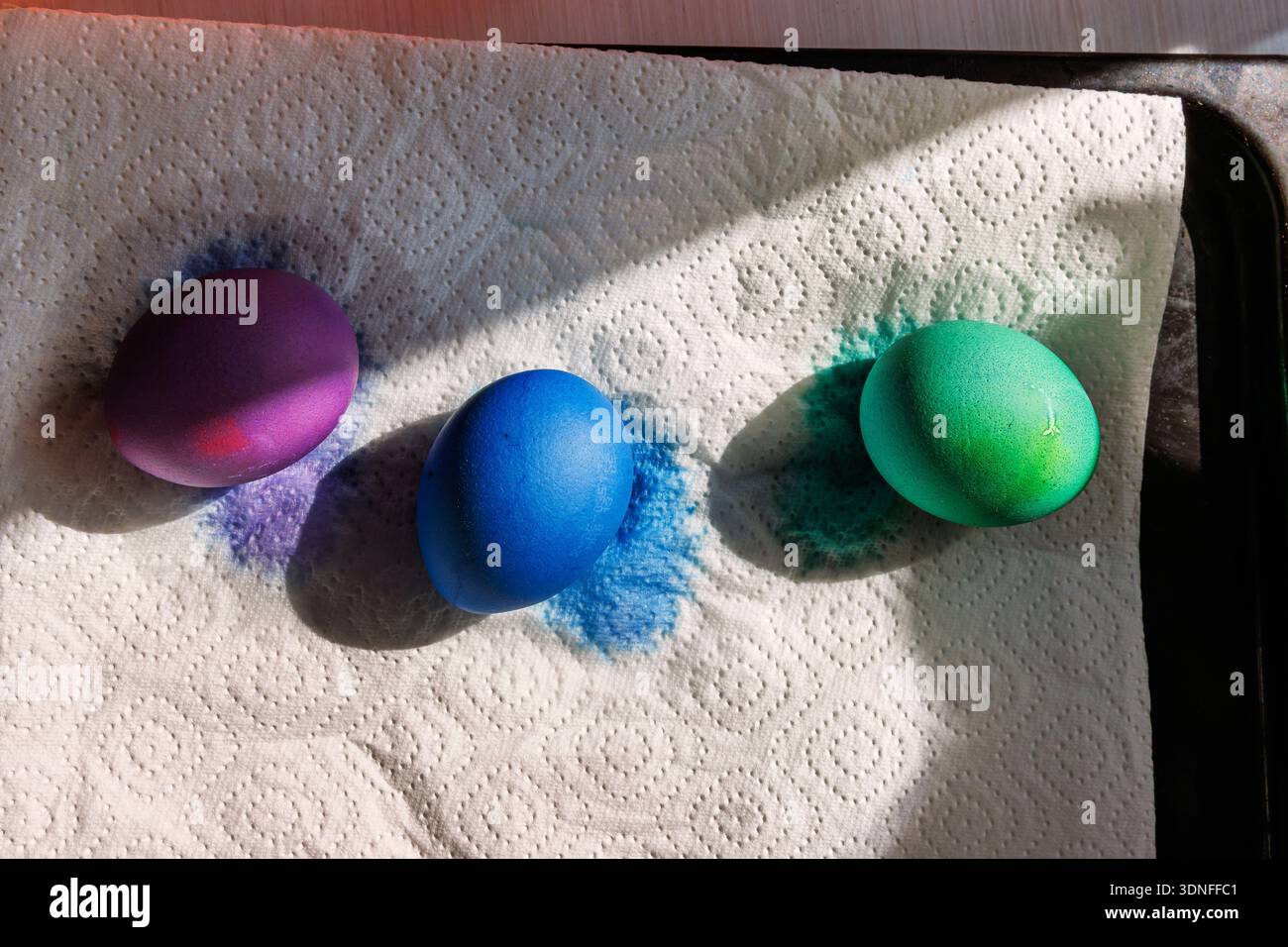 Colored easter eggs drying on paper towel in sunlight. Close up Stock Photo