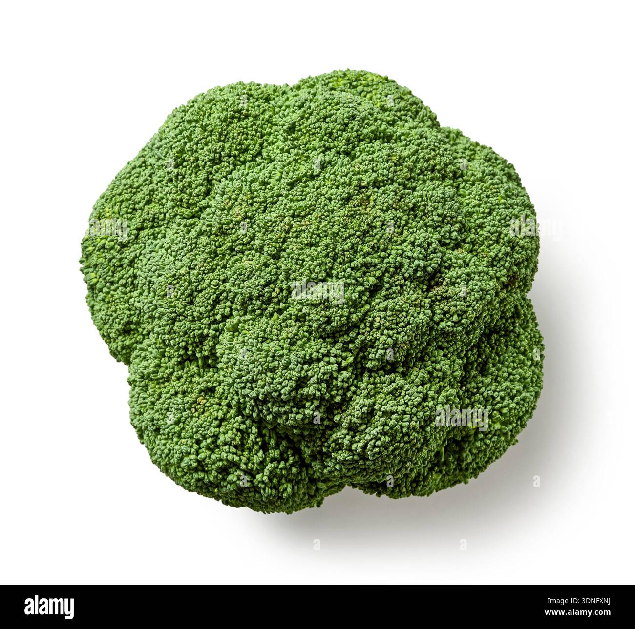 fresh raw broccoli isolated on white background, top view Stock Photo