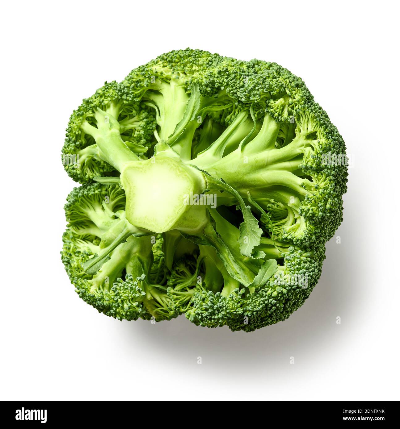 fresh raw broccoli isolated on white background, top view Stock Photo