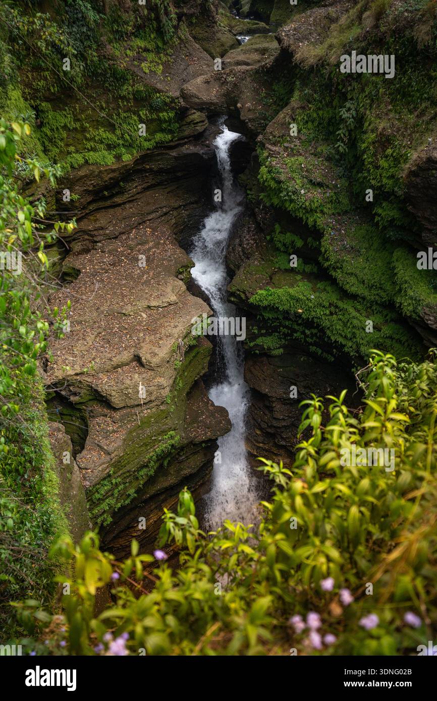 Famous Devi's fall is one of the most fascinating natural attractions ...