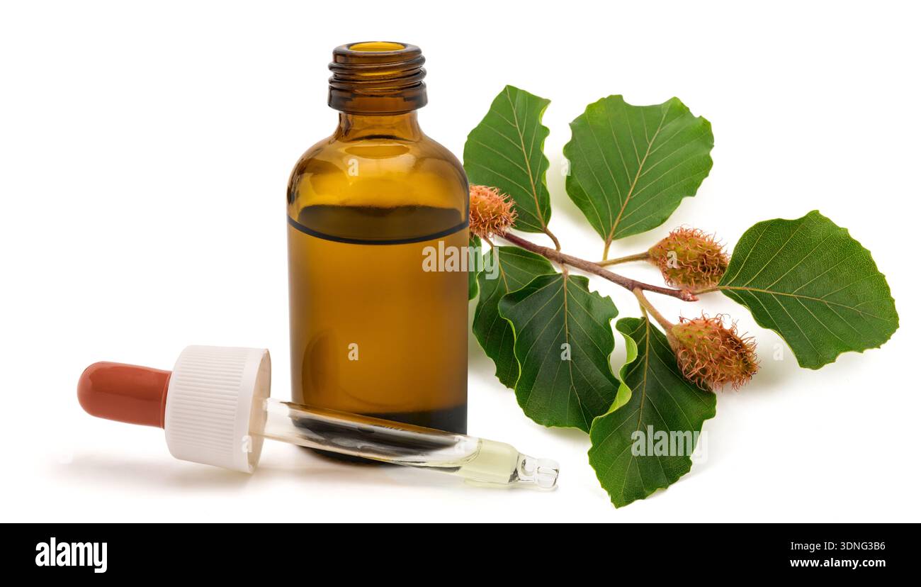 Beech branch with essence bottle isolated on white Stock Photo