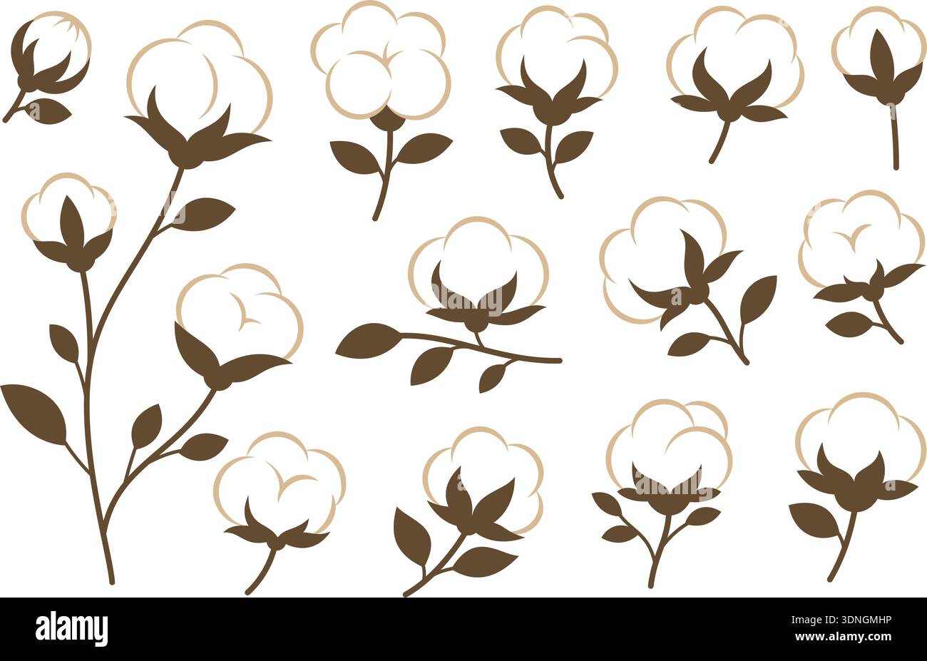 Cotton plants set. Elegant vector floral element perfect for eco designs and botanical compositions Stock Vector
