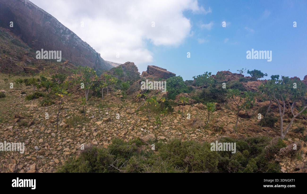 Rocky mountain hillside with sparse shrubs and trees under blue sky ...
