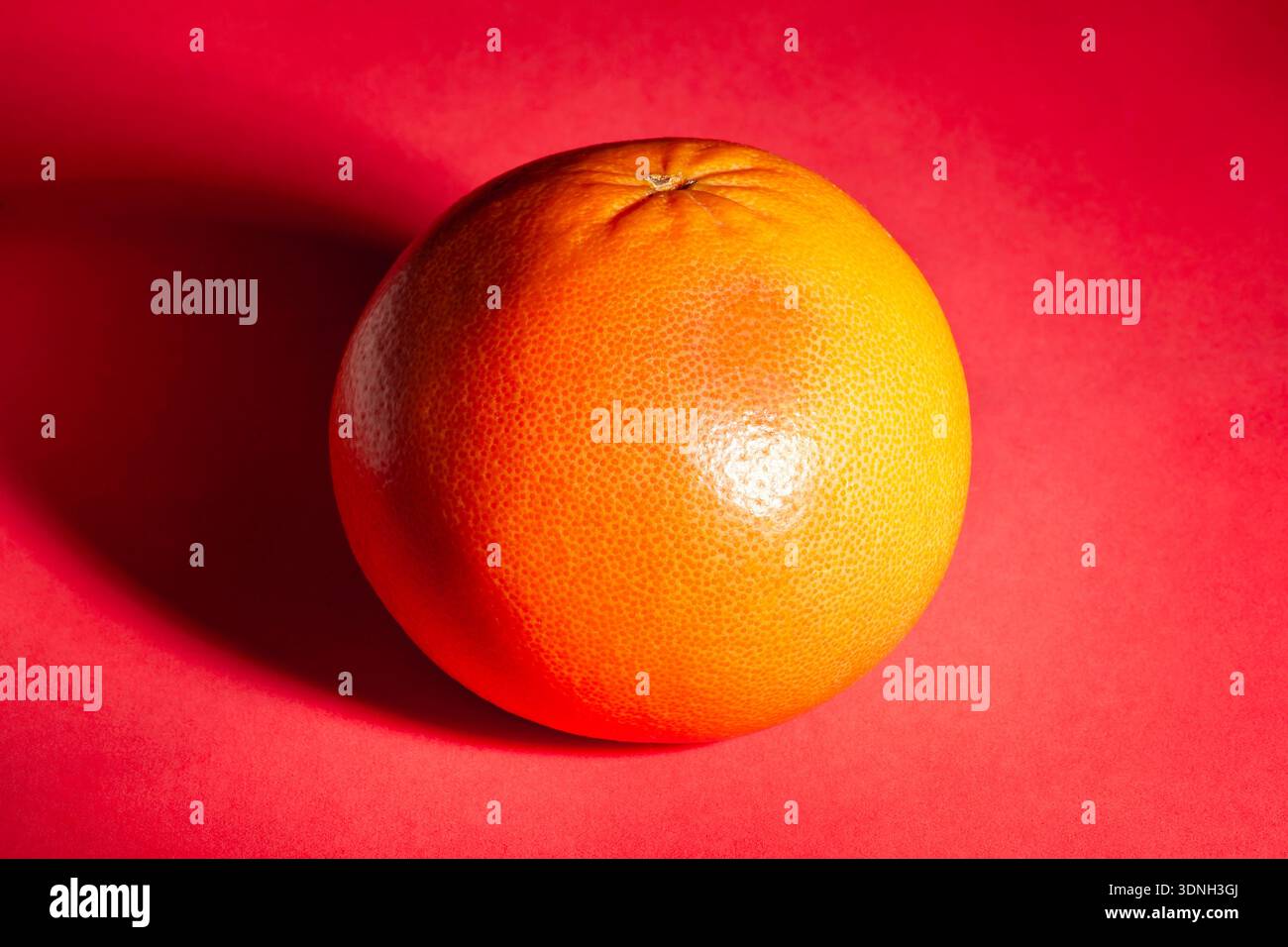 one grapefruit on red background Stock Photo