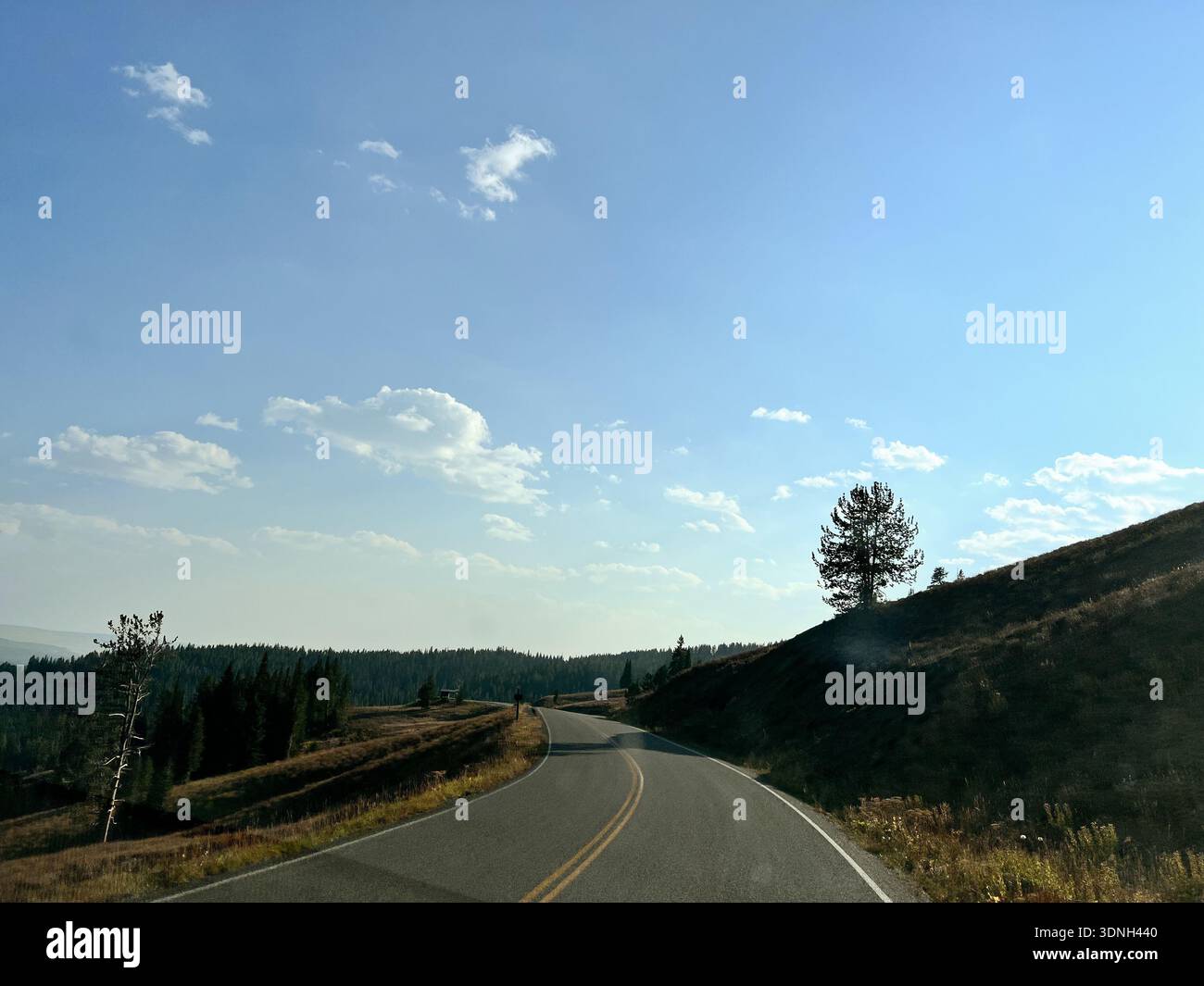A winding country road curves through sunlit grassy hills beneath a bright blue sky, capturing the peaceful charm of a quiet rural landscape. - Smartphone Captured Stock Image