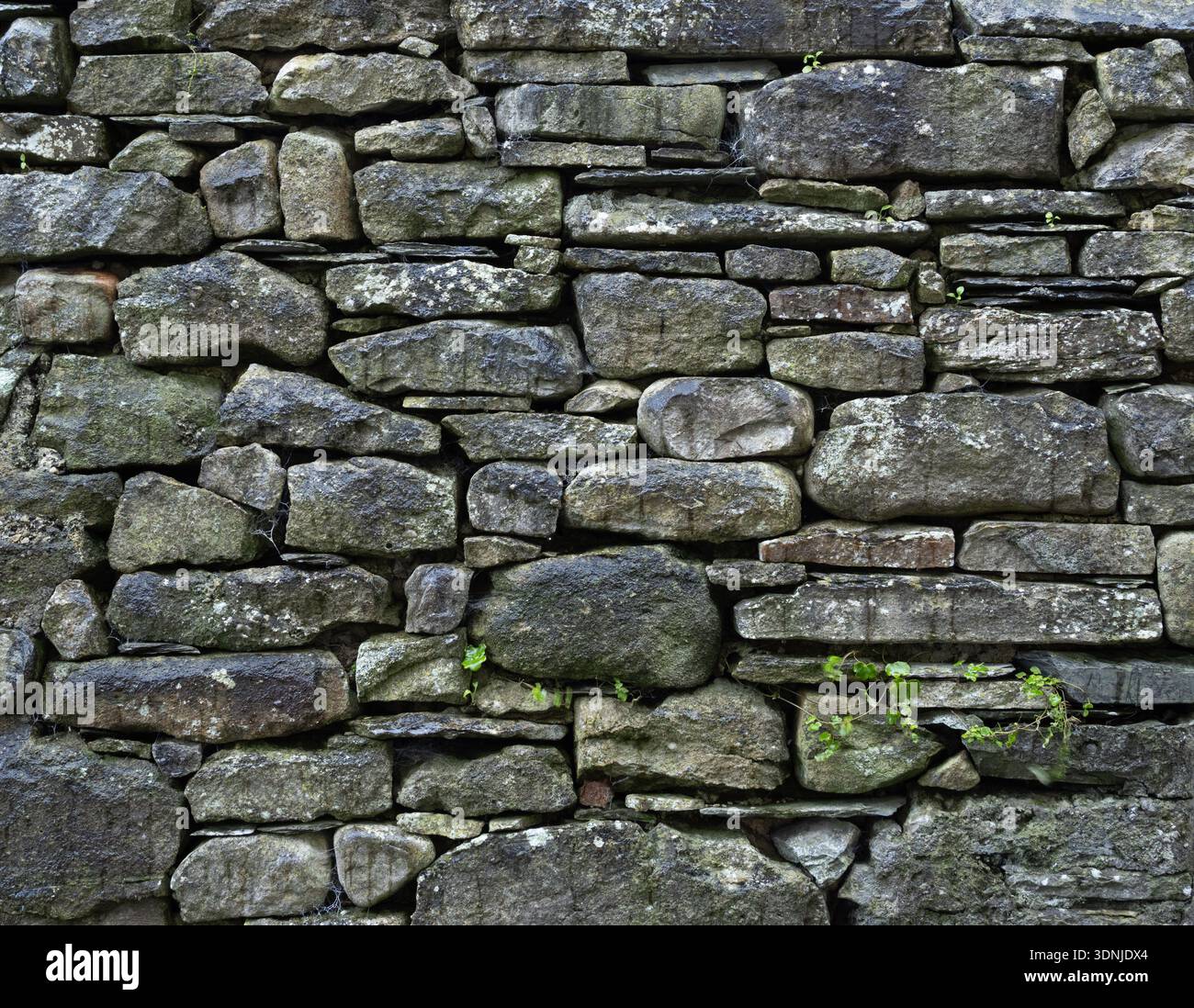 Distressed Historic Dry Stone Wall Masonry Texture with Greenery Stock Photo