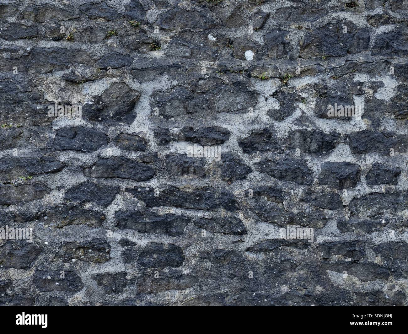 Historic Limestone with Natural Black Staining Stock Photo