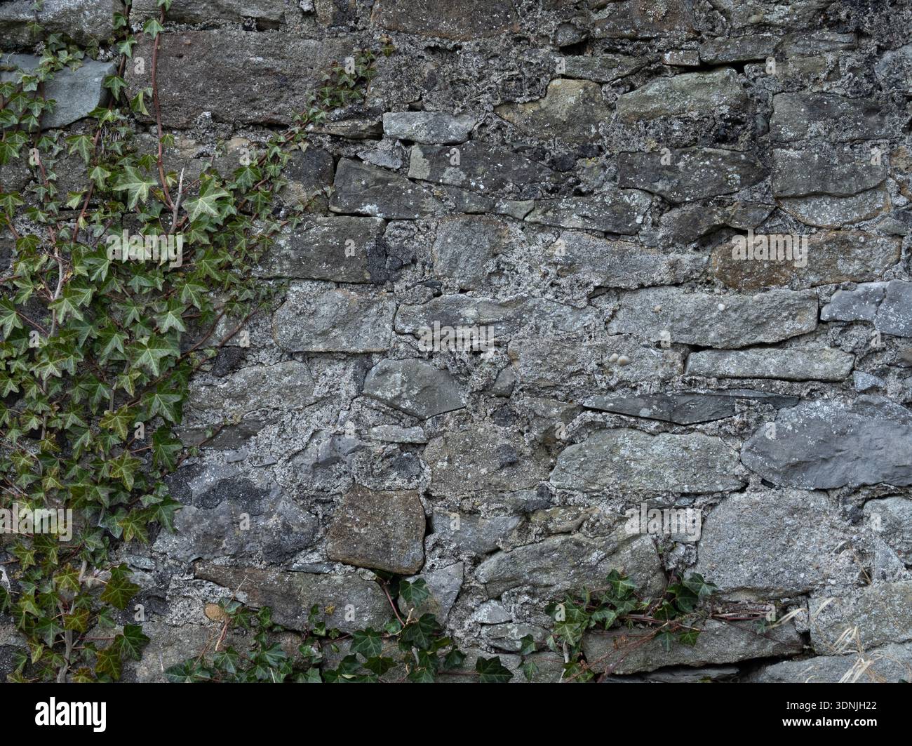 Historic Limestone with Natural Black Staining Stock Photo