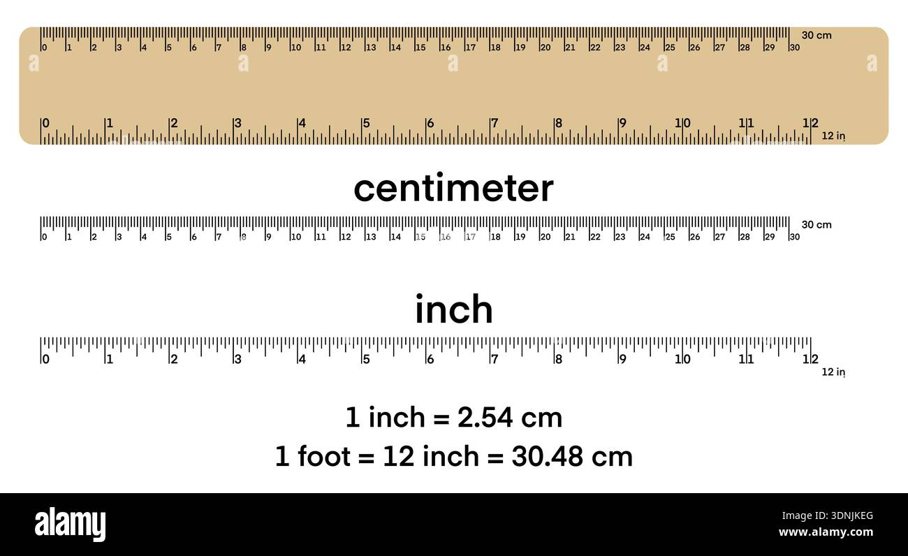 Educational ruler chart showing centimeter and inch measurements with ...