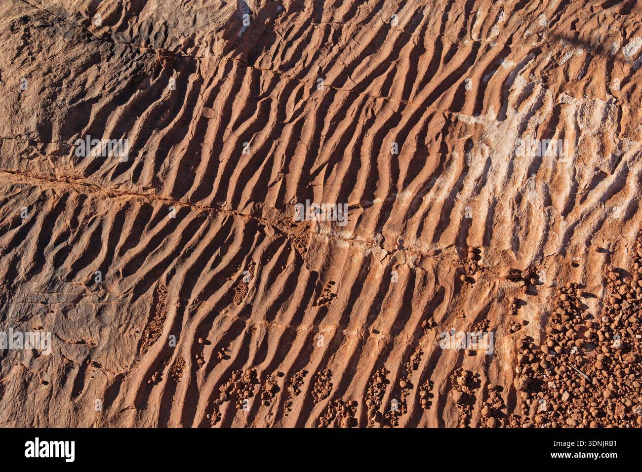 ancient sand ripples in a red rock sandstone layer Stock Photo