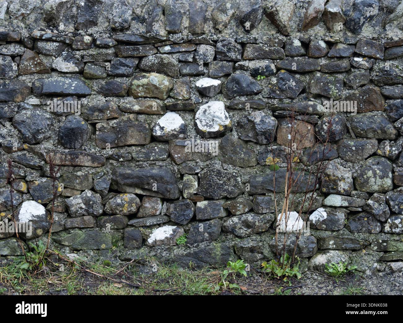Distressed Historic Dry Stone Wall Masonry Texture with Greenery Stock Photo