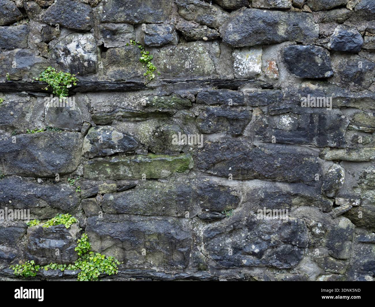 Distressed Historic Dry Stone Wall Masonry Texture with Greenery Stock Photo