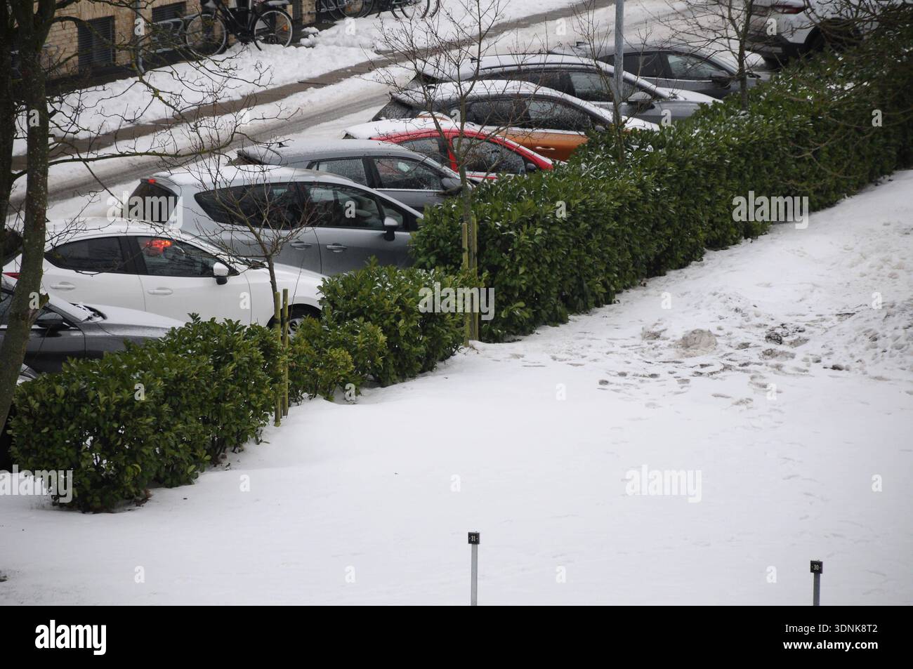 Copenhagen/Denmark /11 FEB 2026 /Snow fall weather in kastrup snow is ...