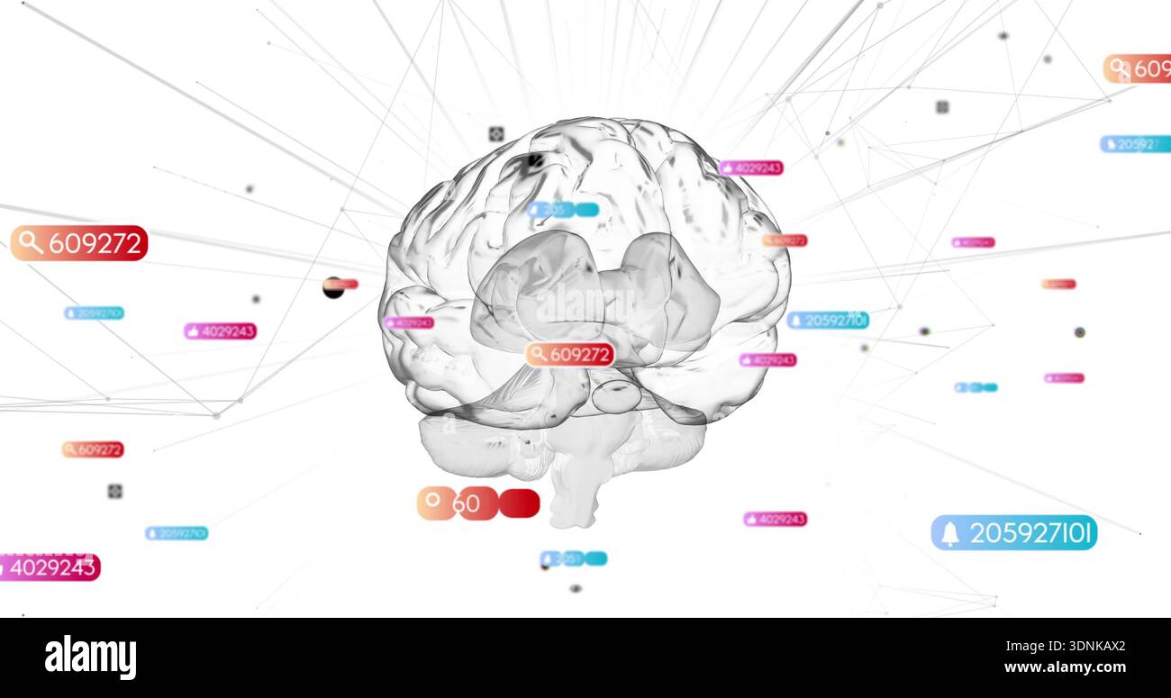 Displaying translucent grayscale 3D brain in white digital space, with colored labels and nodes Stock Photo