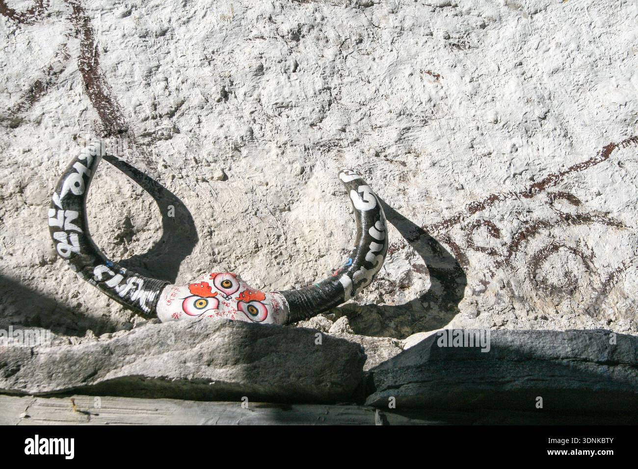 The image shows a 'yak skull decorated with Tibetan script', which is a ...