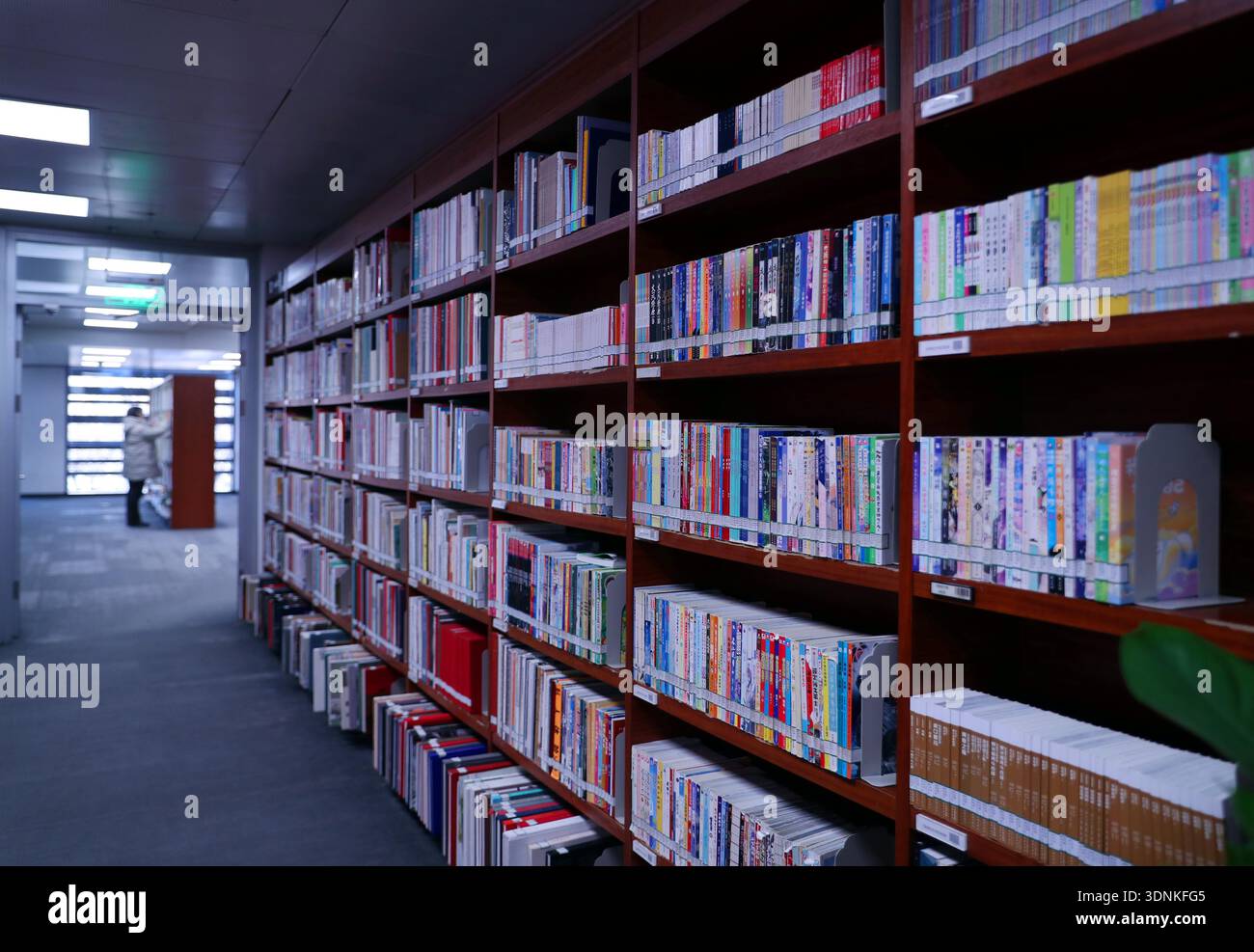 Readers study at the National Library of China in Beijing, China, 8 ...