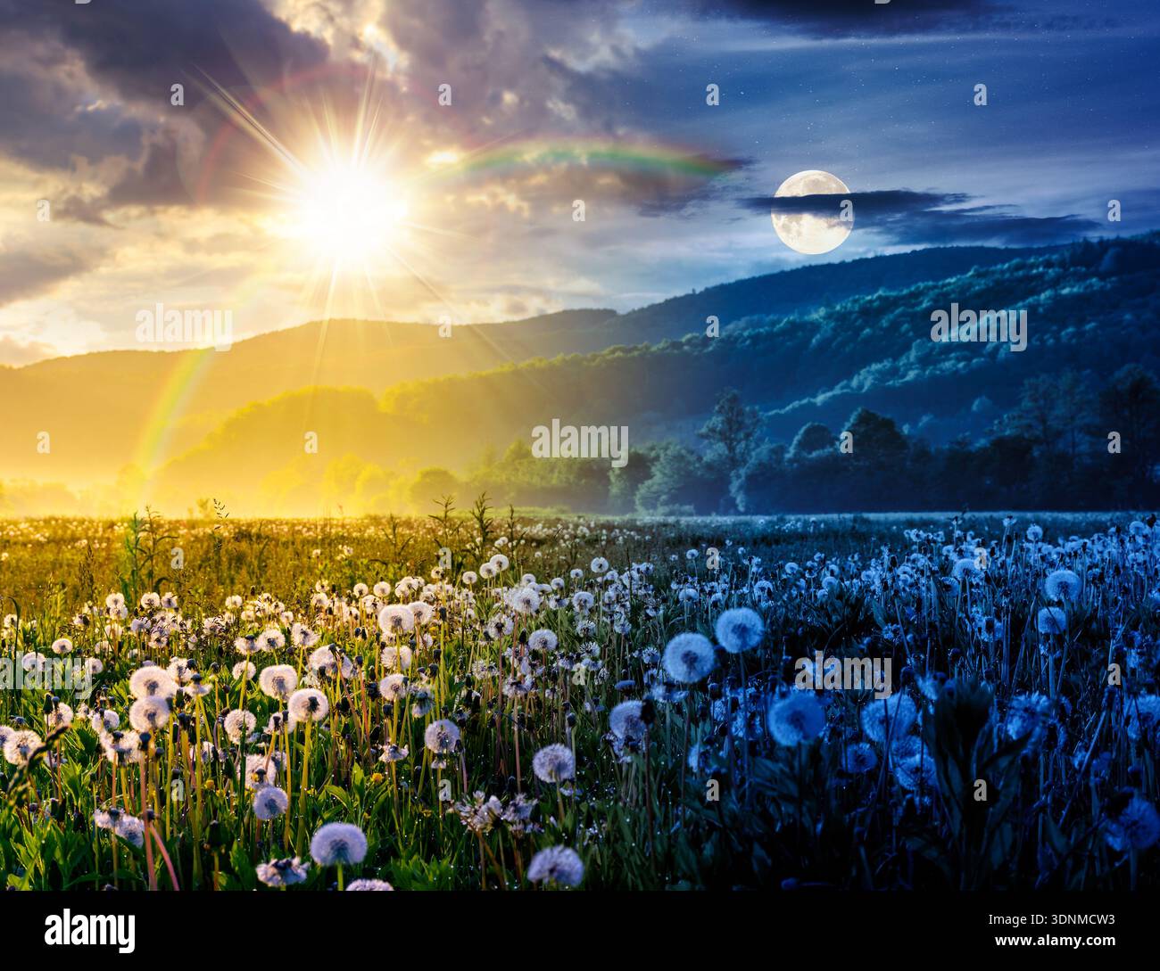 dandelion field in foggy landscape during springtime. day and night time change concept. beautiful agricultural scenery with distant mountain beneath Stock Photo