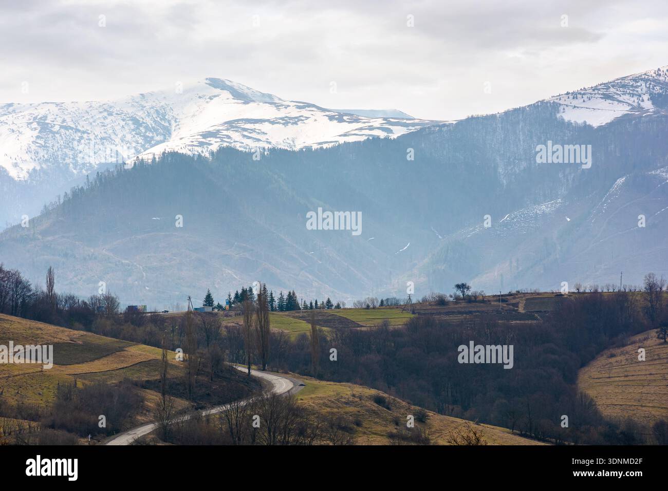 carpathian mountains of ukraine in early spring. morning view of countryside landscape with rolling hills, snow covered peak. green environment sustai Stock Photo