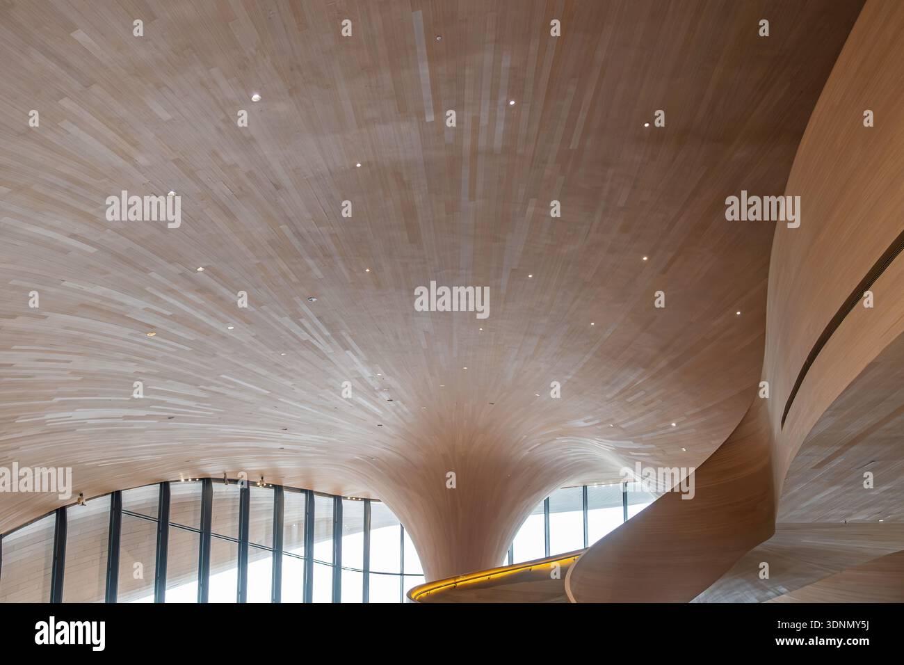Modern wooden architectural interior with flowing organic ceiling ...