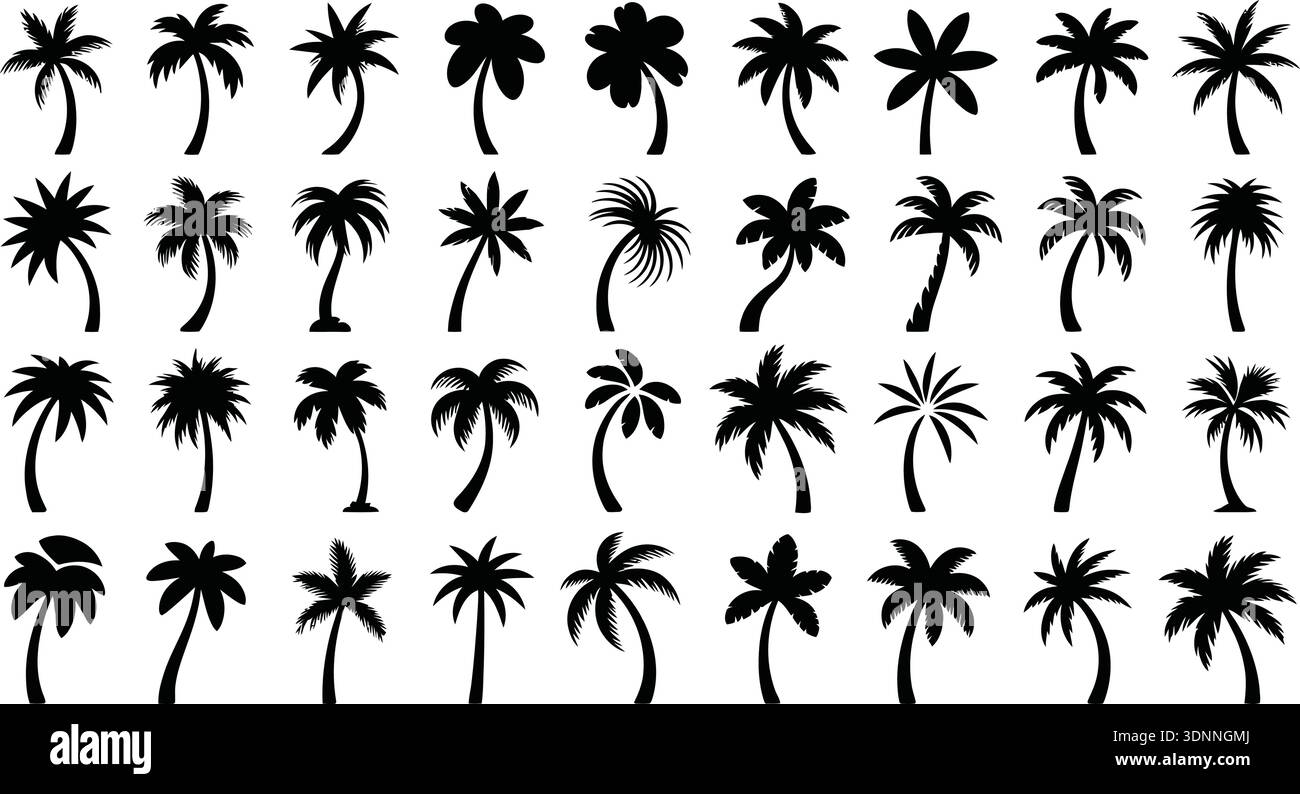 Tropical Palm Tree Silhouettes Vector Collection Stock Vector Image ...