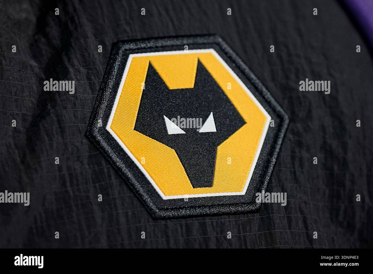 Francisco Trincao of Wolverhampton Wanderers poses for a portrait in