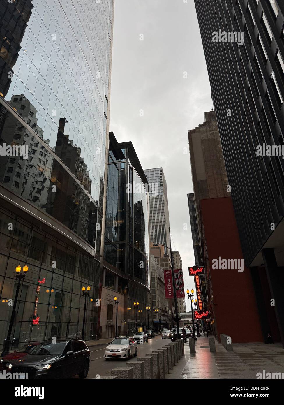 VIBRANT ORANGE AND LUSH DARK GREEN - Smartphone Captured Stock Image