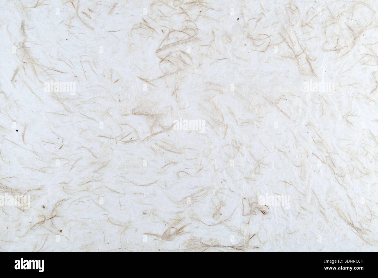 Fibrous paper Stock Photo