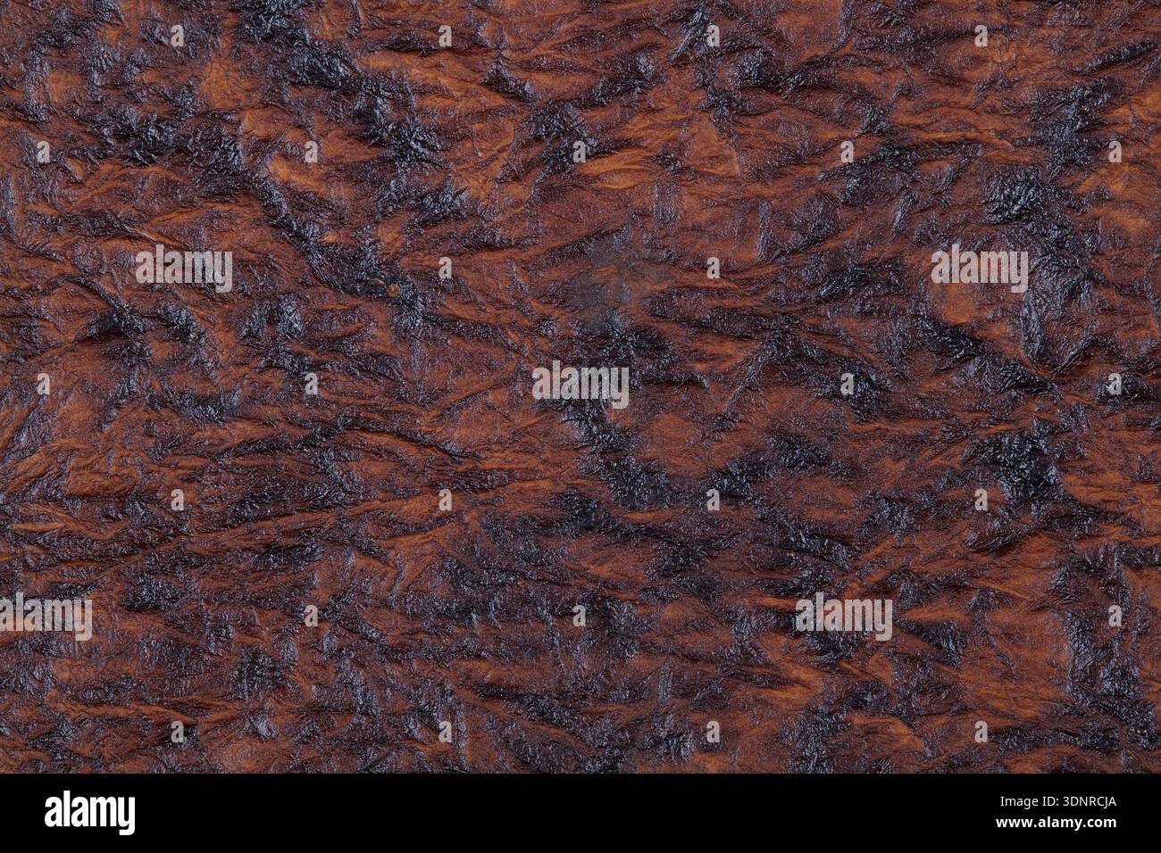 Rough brown leathery texture Stock Photo