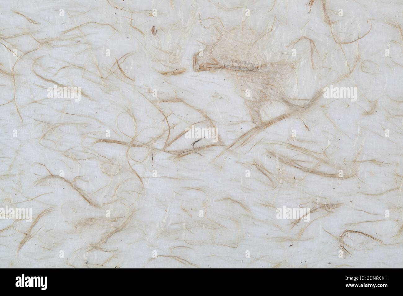 Fibrous paper Stock Photo