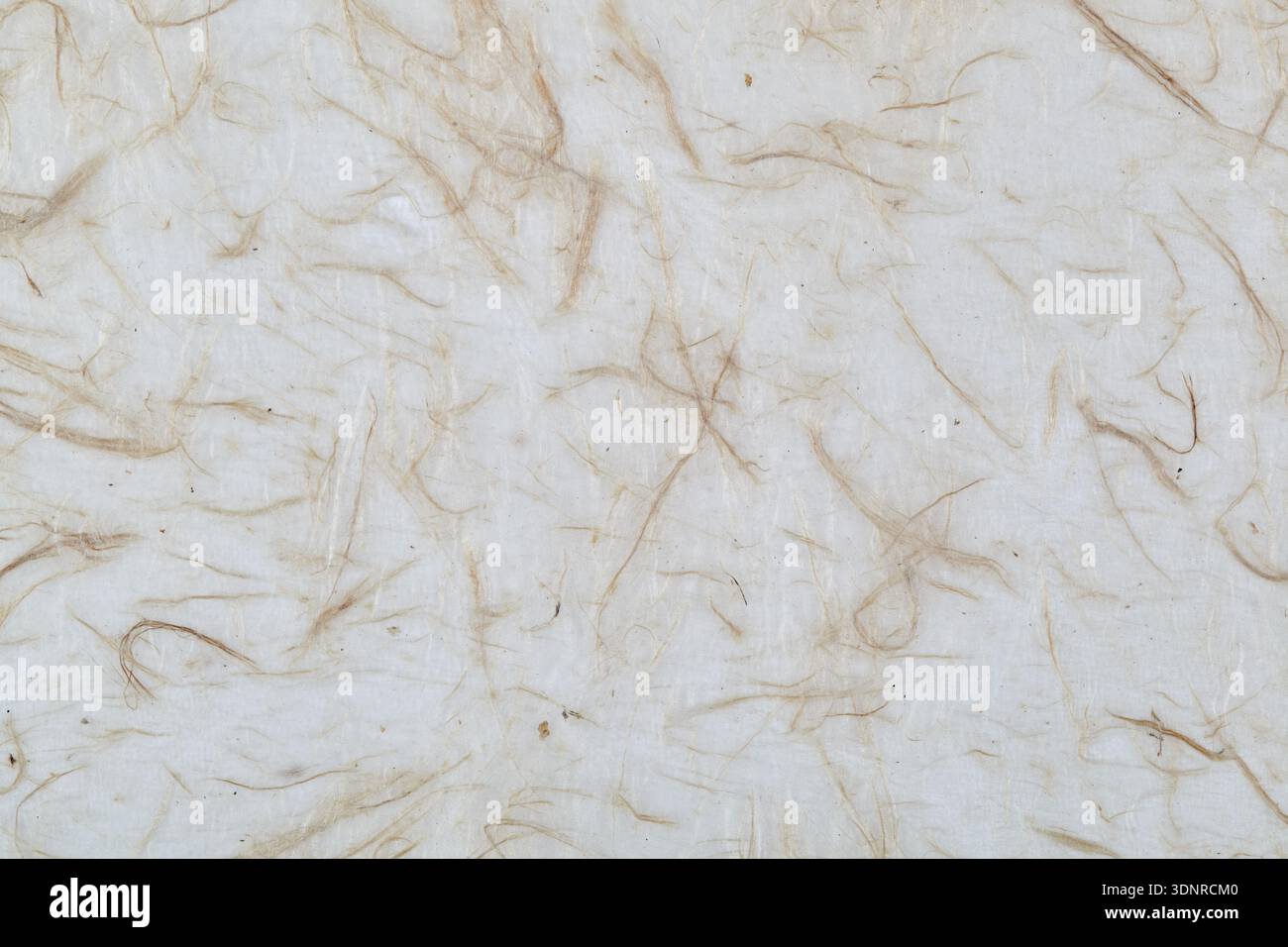 Fibrous paper Stock Photo
