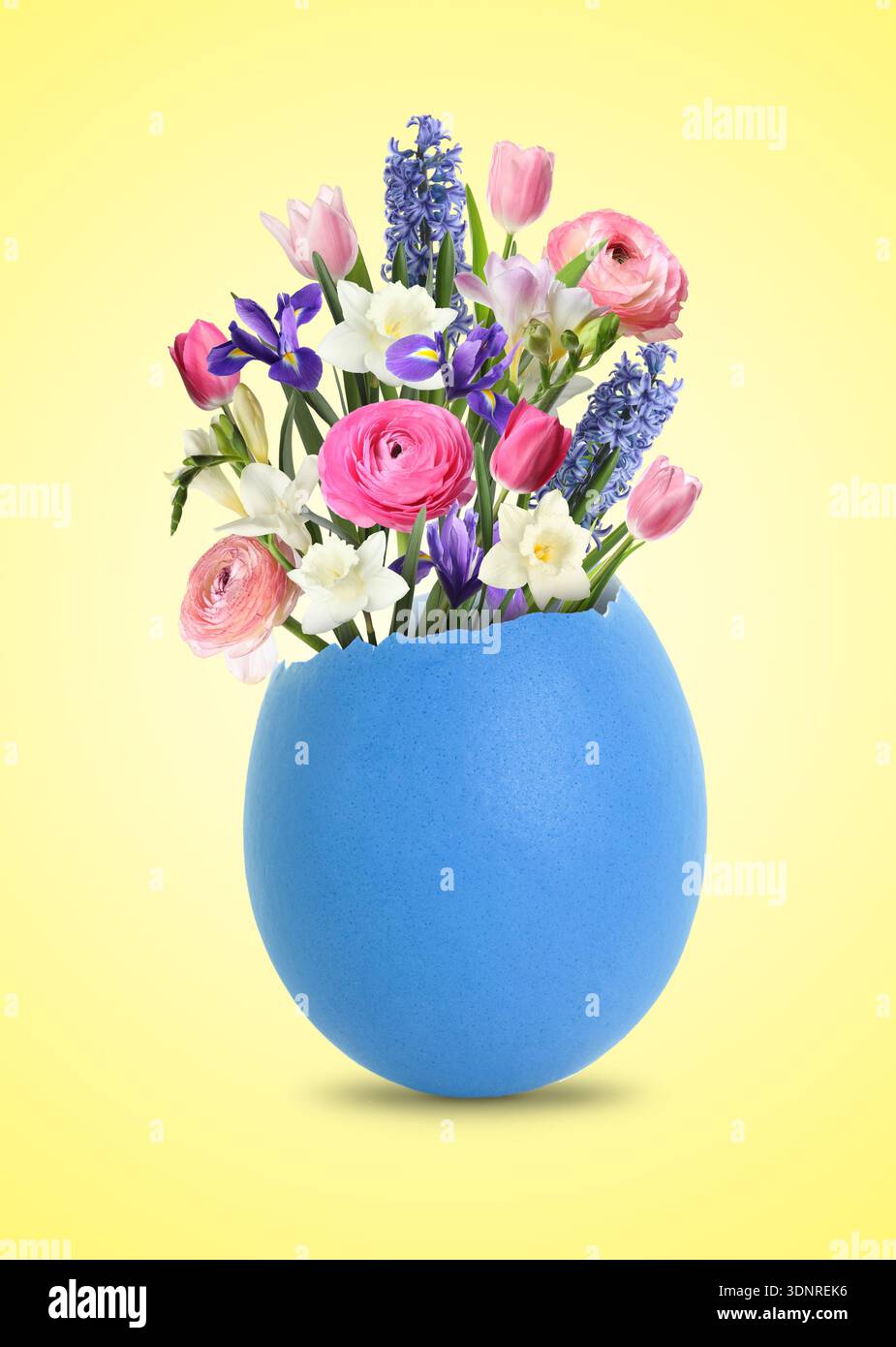 Easter card with spring flowers in broken eggshell on beige background Stock Photo