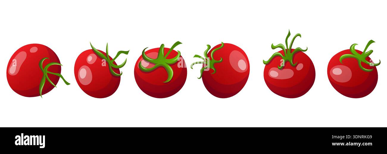 Red cherry tomatoes from different angles Stock Vector