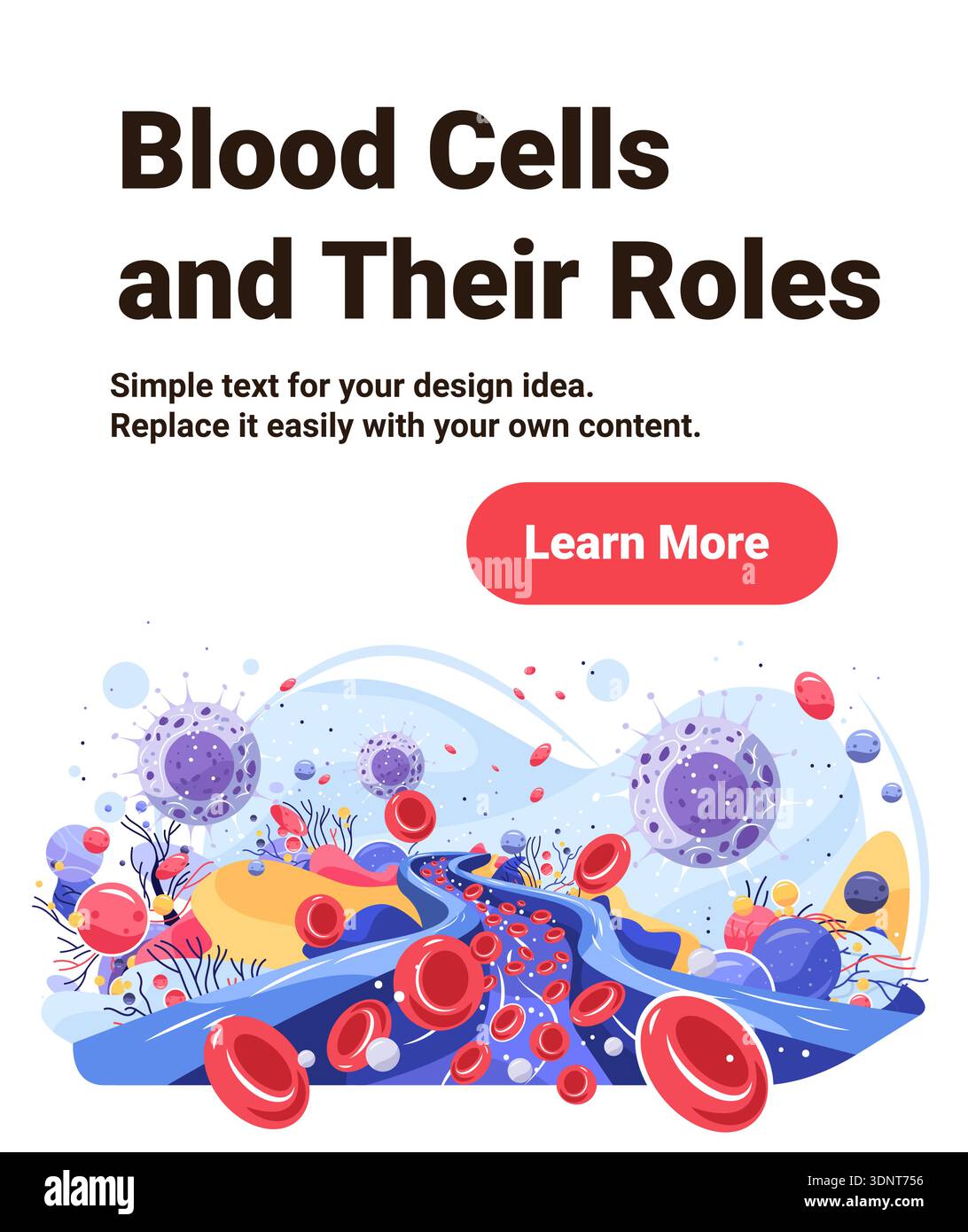 Blood cells anatomy roles hi-res stock photography and images - Alamy