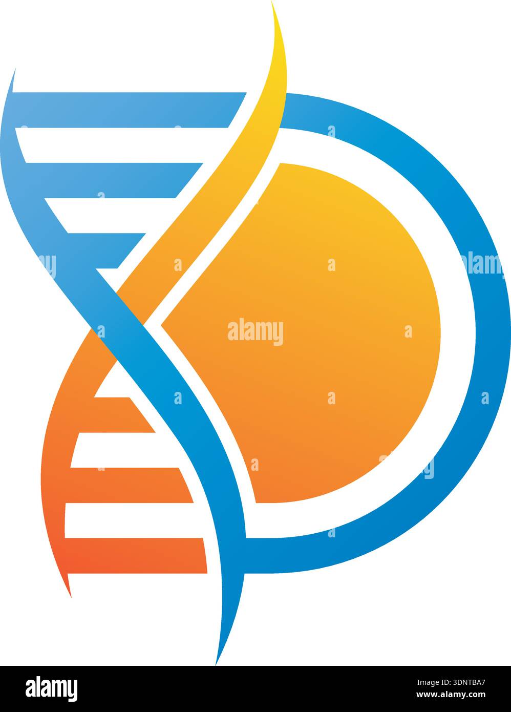 DNA Helix And Letter D Logo Stock Vector