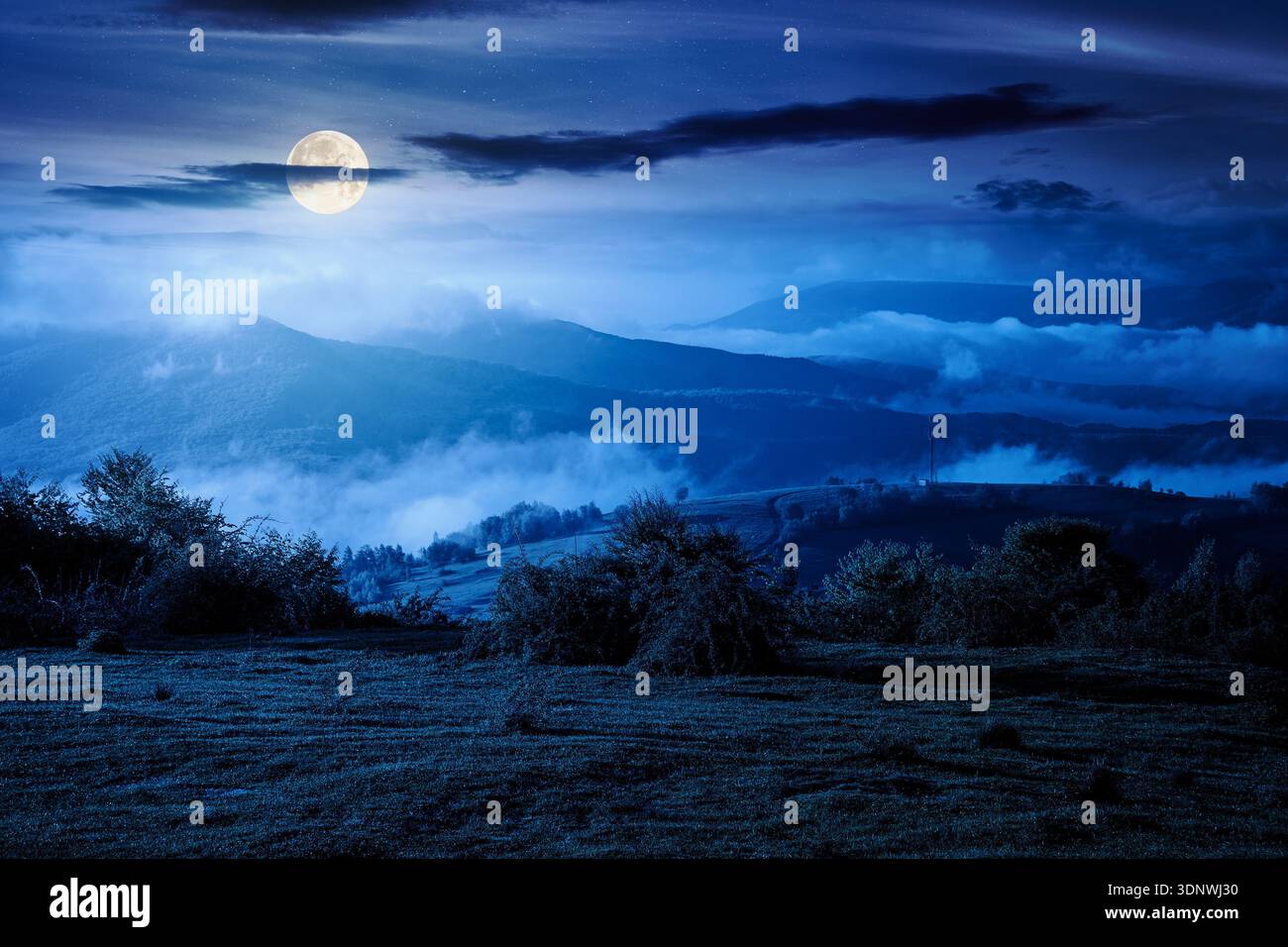 mountain landscape in fog at night. lush alpine meadows in spring in full moon light. beautiful view in to the valley. dark sky with clouds. backdrop Stock Photo