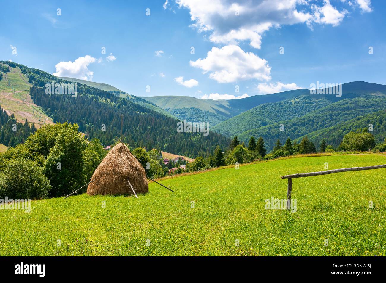 pastoral rural landscape with field on the hill. alpine scenery with traditional haystack. mountainous countryside hayfield during summer. borzhava ri Stock Photo