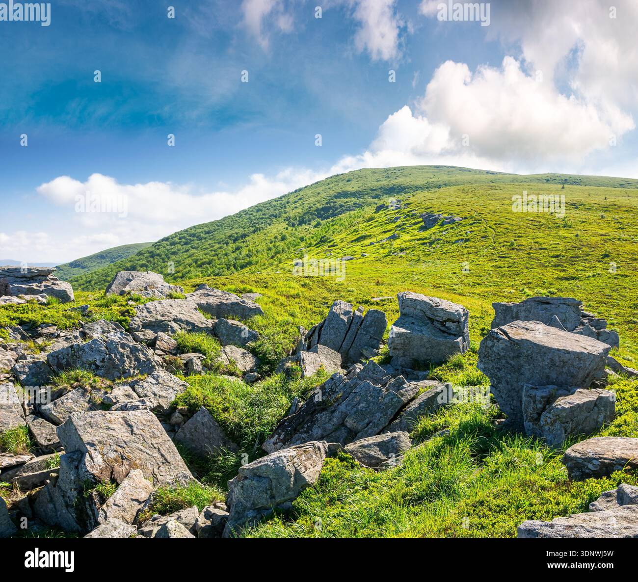 sunny mountain landscape in summer under blue sky. lush green grass and sharp rocks on steep hillside. beautiful view of remote place in carpathian al Stock Photo