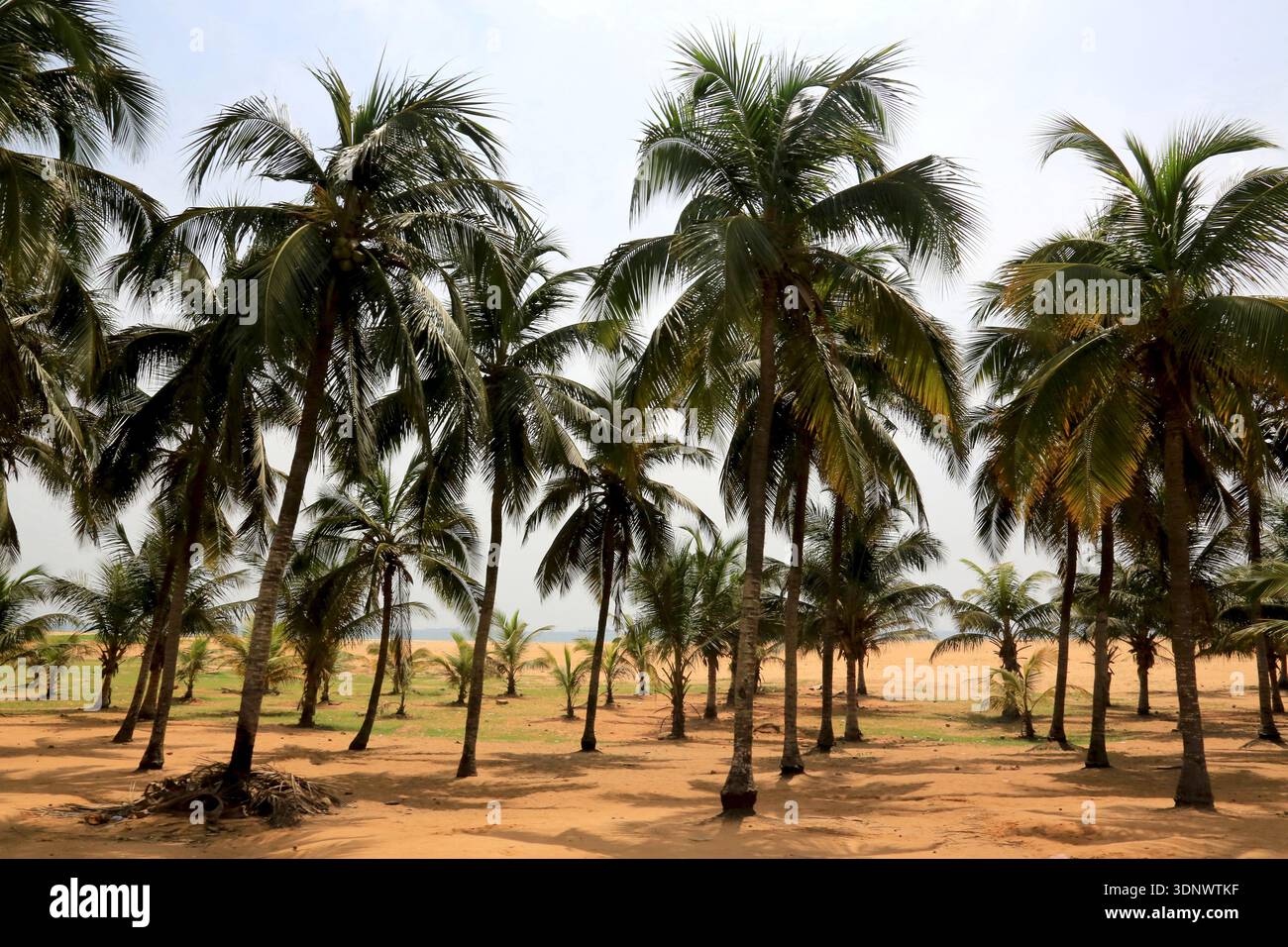 Vacances en afrique hi-res stock photography and images - Alamy