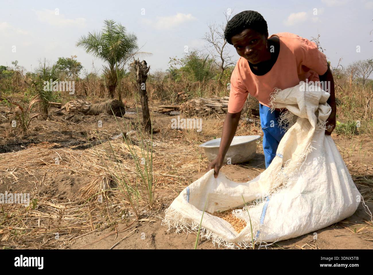 Agriculture en afrique hi-res stock photography and images - Alamy