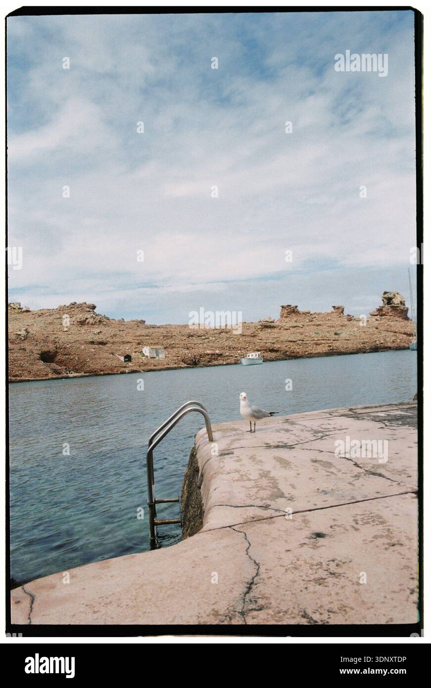 A serene shot of a seagull perched on a weathered stone pier overlooking clear blue waters and rocky cliffs on Menorca Island. The peaceful scene capt Stock Photo
