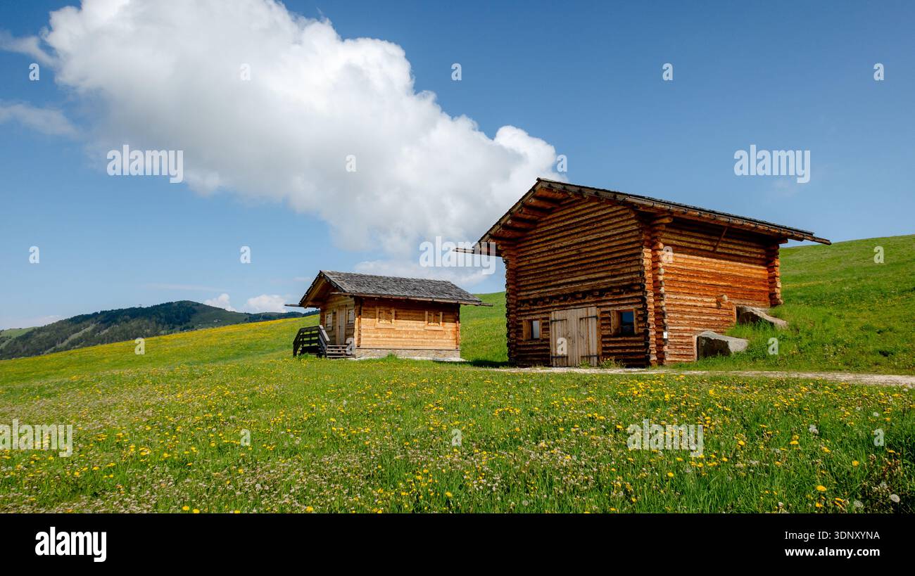 Lush field rustic cabins alps hi-res stock photography and images - Alamy
