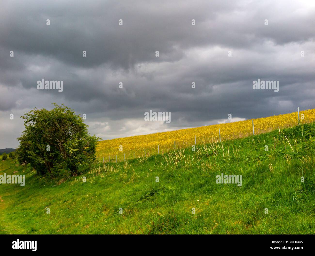 Stormy sky at Deep Dale near Wharram Percy in the Yorkshire Wolds area of North Yorkshire England UK. Stock Photo