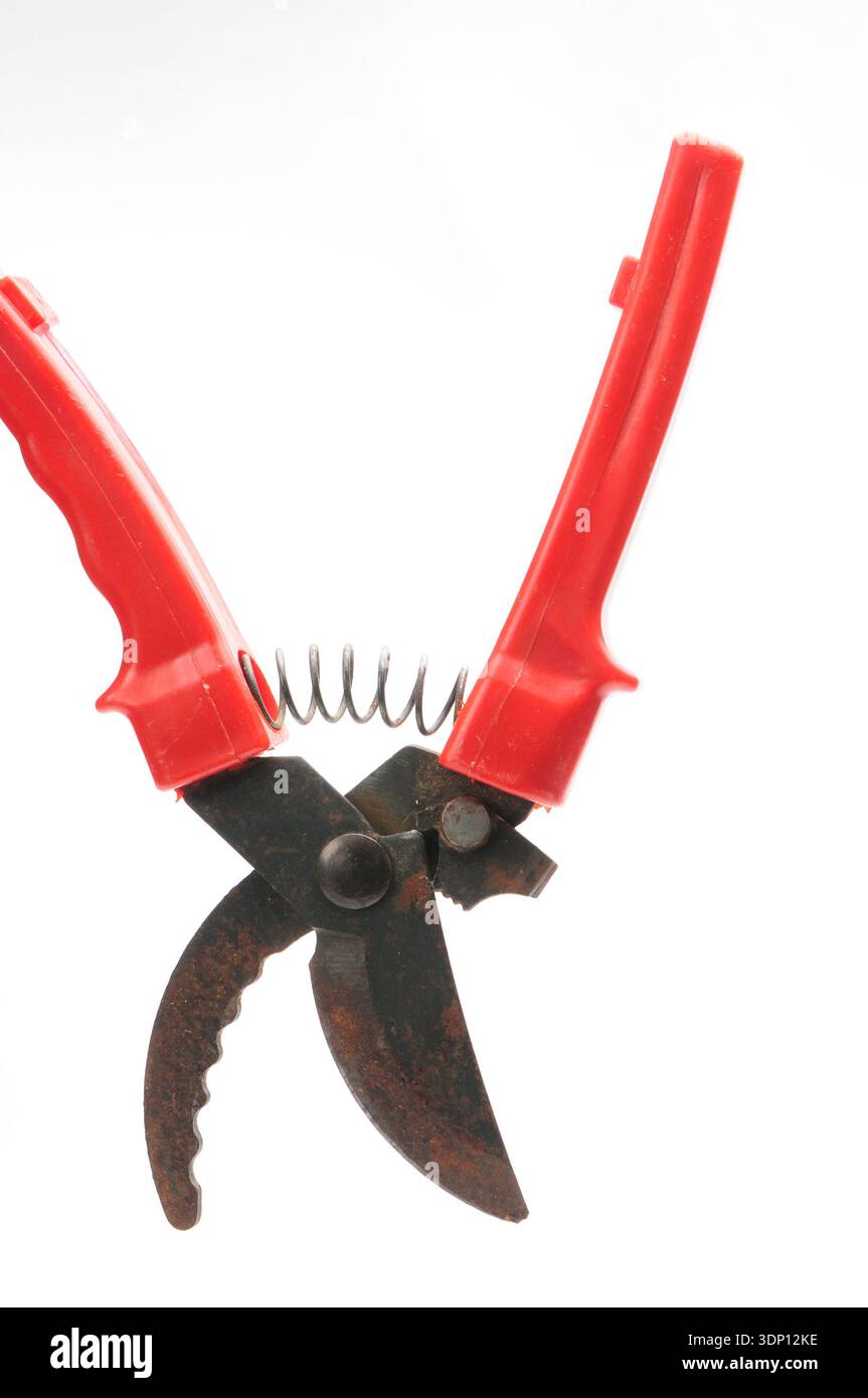 Red scissors for pruning tree branches and bushes on isolated white background Stock Photo
