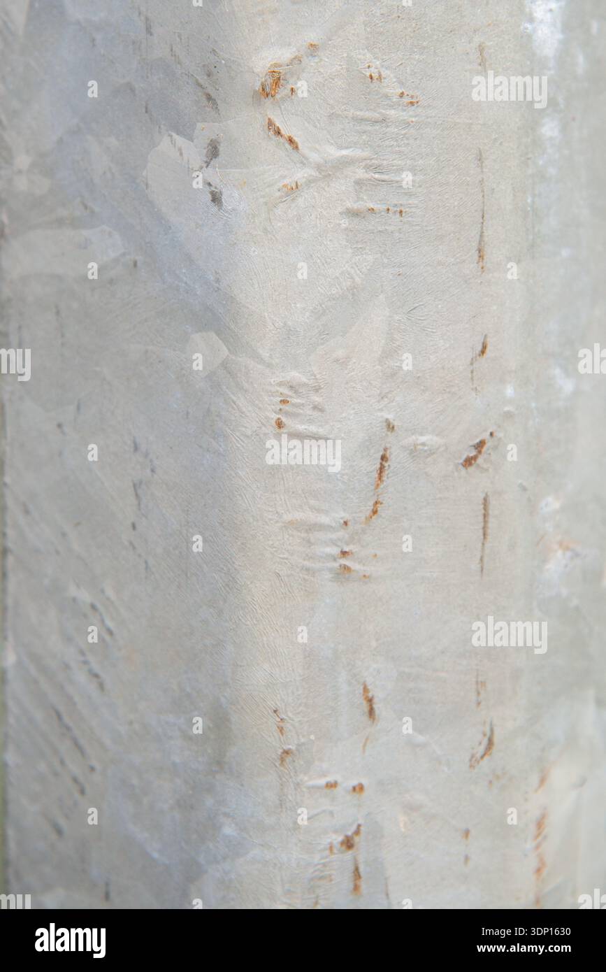 Weathered white painted metal utility pole texture Stock Photo