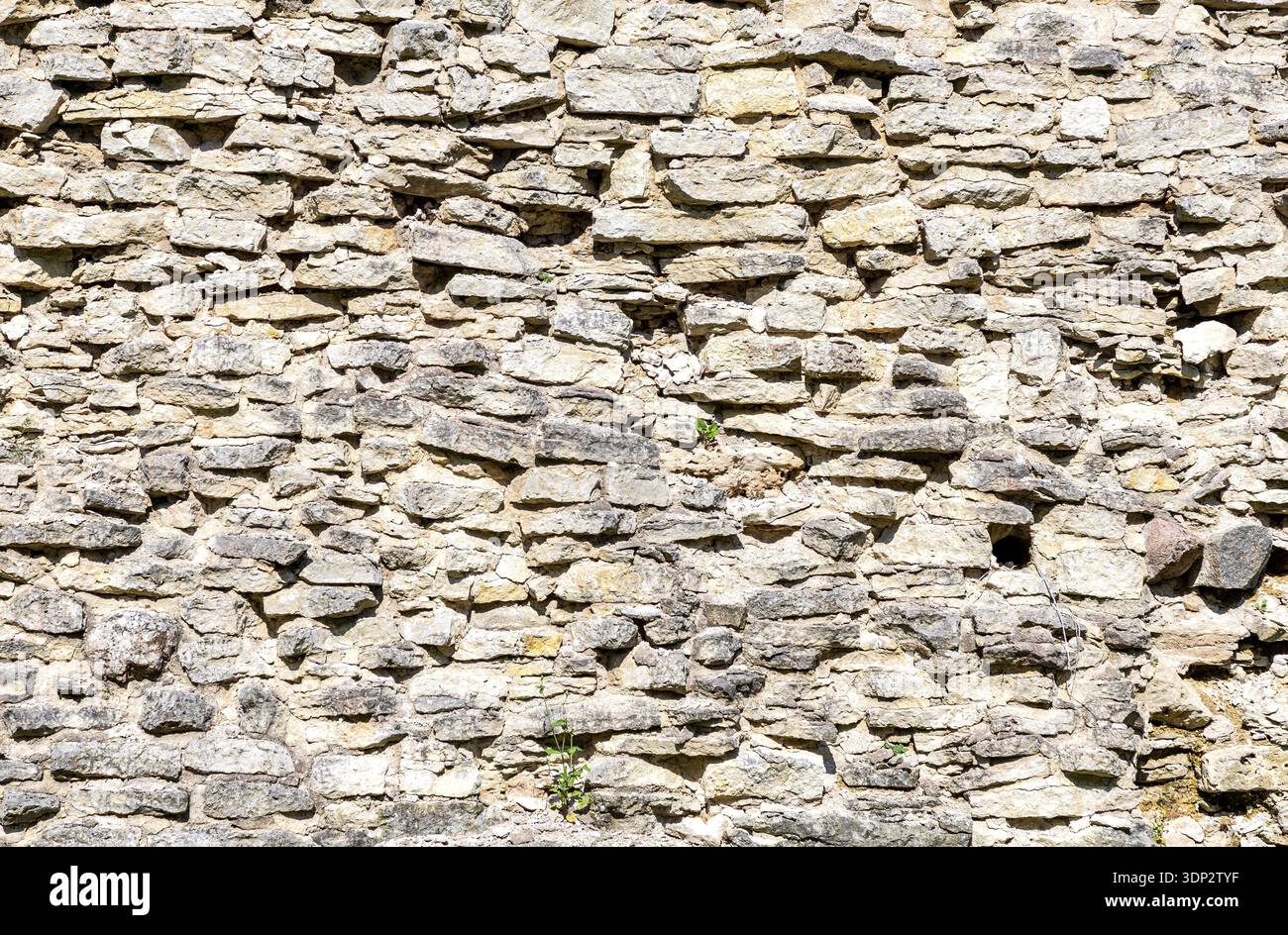 Rough gray stone wall as creative background. Grunge brick wall texture background Stock Photo