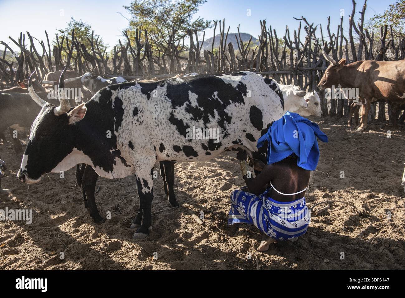 Angola agriculture hi-res stock photography and images - Alamy